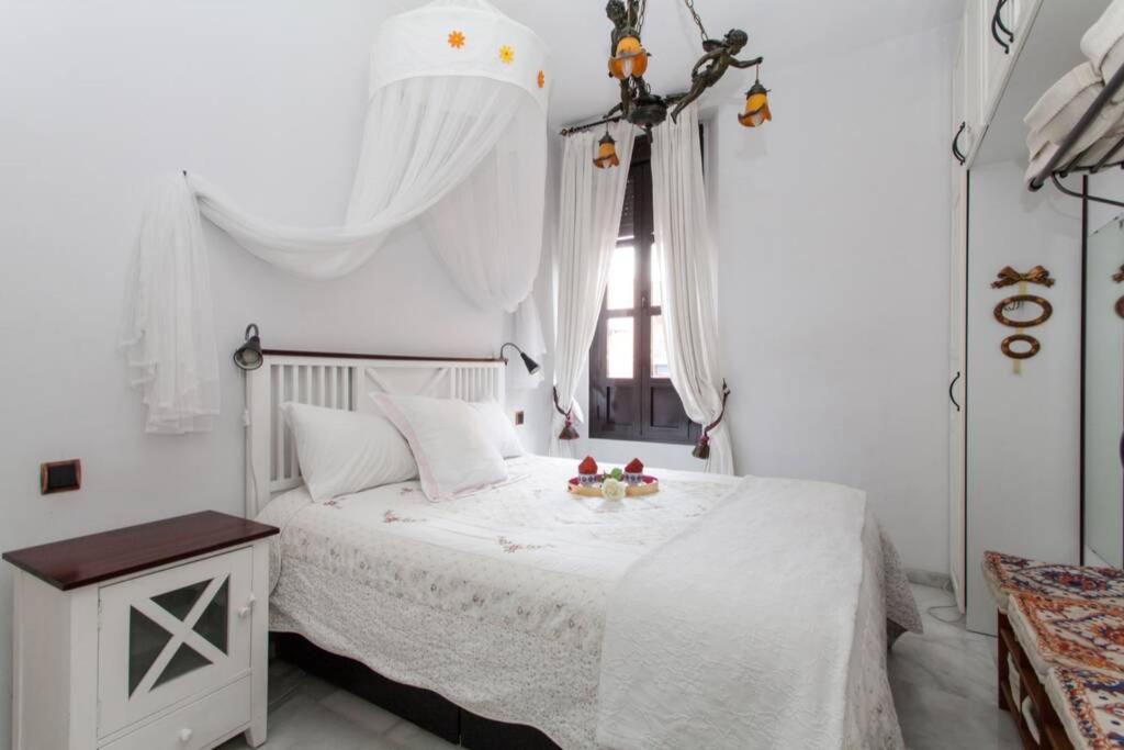 Apartamento Alfareria セビリア エクステリア 写真