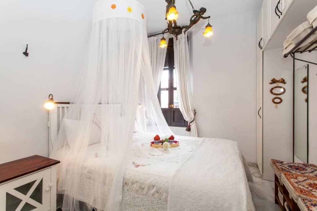 Apartamento Alfareria セビリア エクステリア 写真